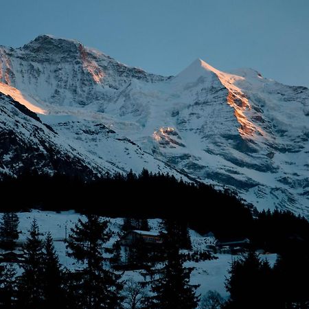 Hotel Edelweiss Wengen Exterior foto