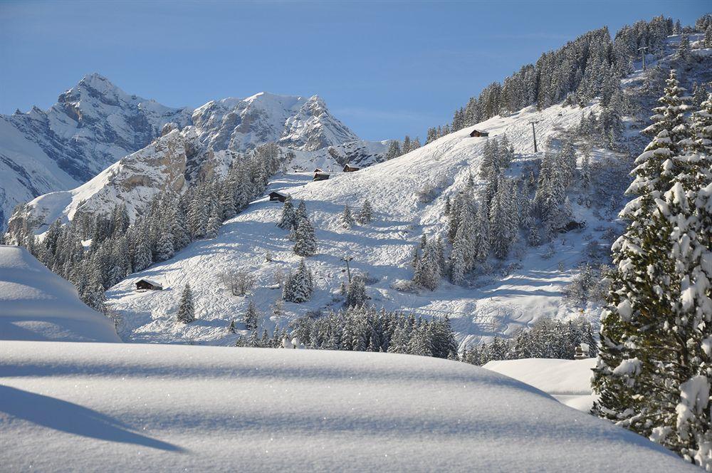 Hotel Edelweiss Wengen Exterior foto